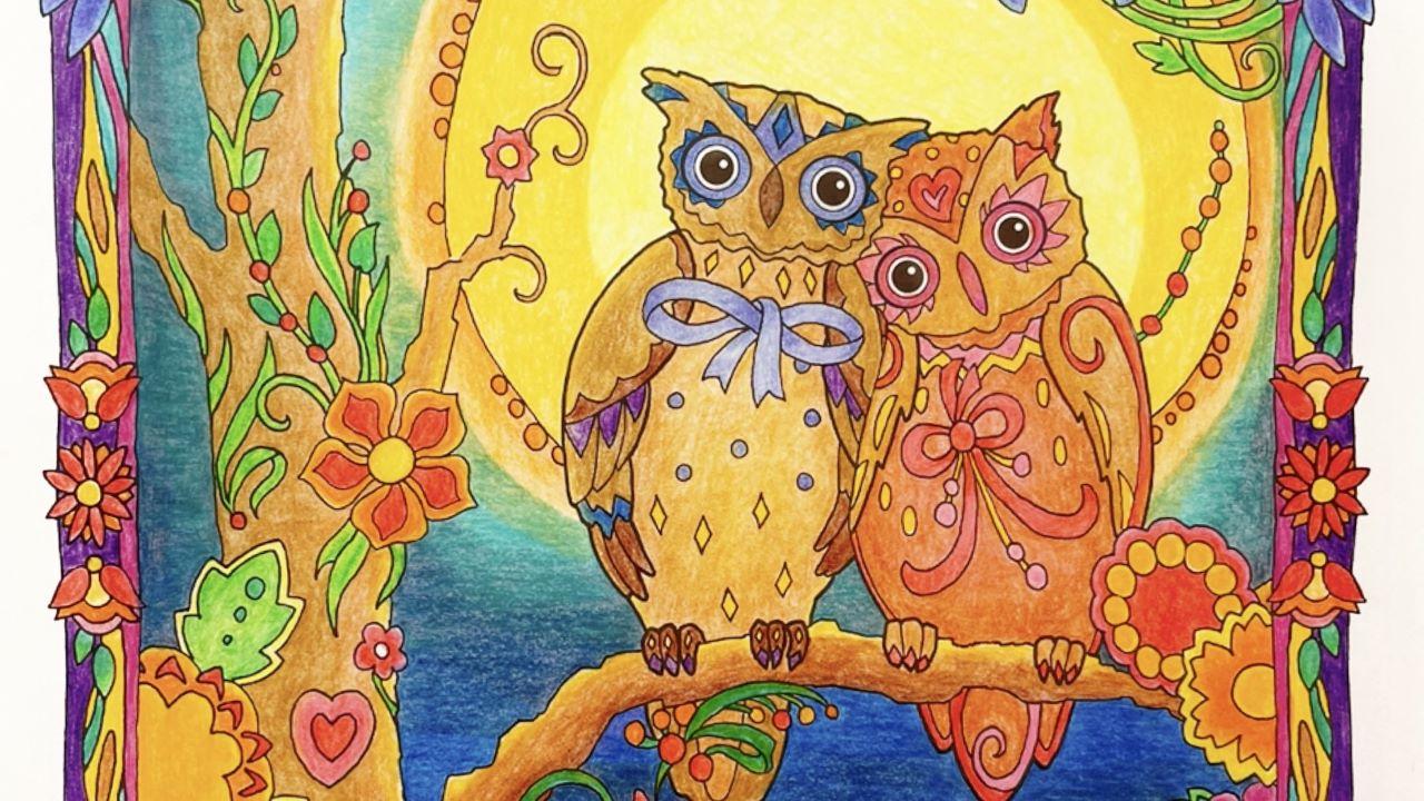 フクロウ(カップル)色鉛筆画