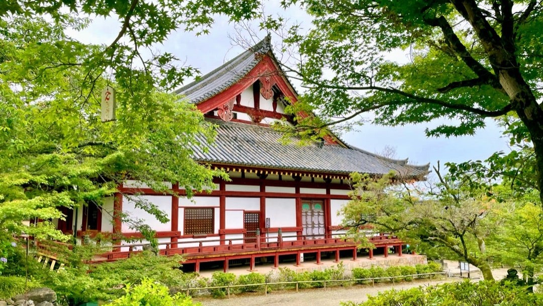 天武天皇勅願寺【矢田寺（あじさい寺）】境内の見所～お地蔵様と紫陽花