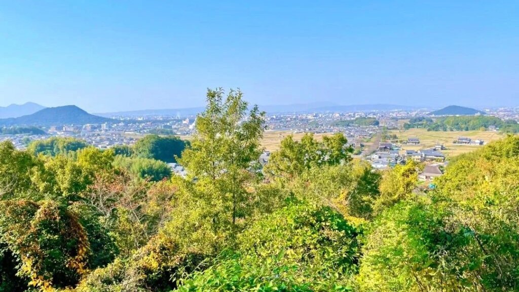 甲子園の土 EQ5KRWOM7BPWJCGP3FPMIDUIVU.jpg